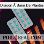 Dragon À Base De Plantes 29
